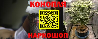мяу мяу мука Ипатово
