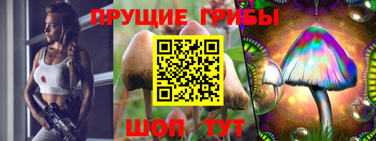 Cocaine  Кунгур  Марихуана  Меф кристаллы  ГАШ  Вход с VPN 